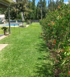 Integral Verde Parques y jardines