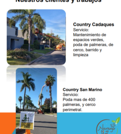 Vivero Naranjo en Flor