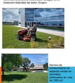 Vivero Naranjo en Flor