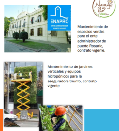 Vivero Naranjo en Flor