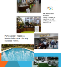 Vivero Naranjo en Flor