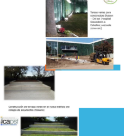 Vivero Naranjo en Flor