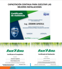 Vivero Naranjo en Flor