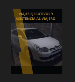 Auxiliosgps