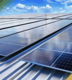 S.E.R Servicio Eléctrico Ramos
